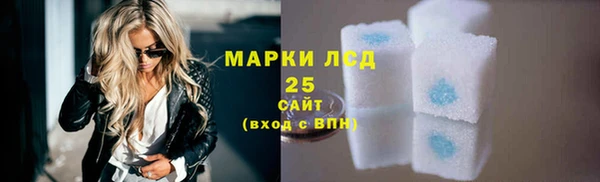 шишки Арсеньев
