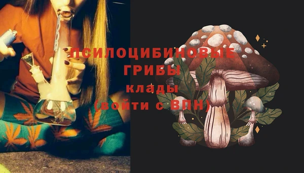 крисы Баксан