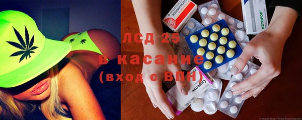 шишки Арсеньев