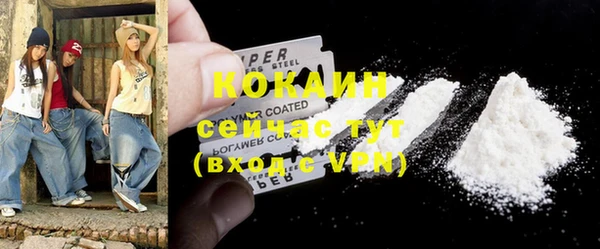 шишки Арсеньев