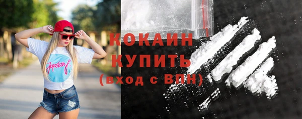 крисы Баксан