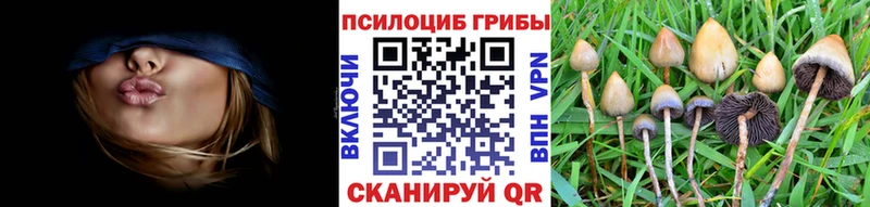 гидра маркетплейс  Олёкминск  Галлюциногенные грибы MAGIC MUSHROOMS 
