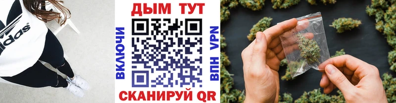 Шишки марихуана планчик  Олёкминск 